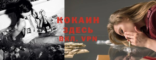 бошки Алексин