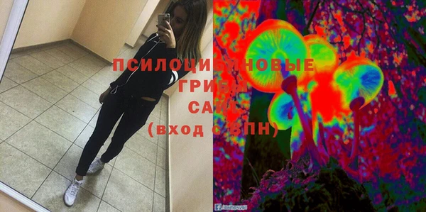 соль ск Алзамай