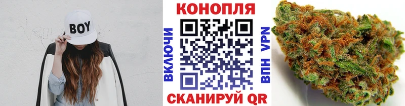 купить   Нытва  Бошки Шишки конопля 